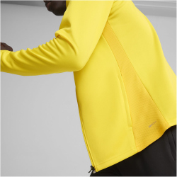 PUMA teamGOAL Trainingsjacke Herren 07 - faster yellow/puma black/sport yellow XXL