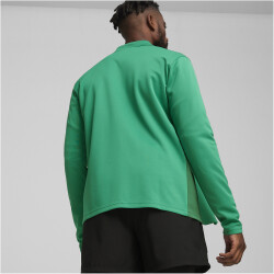 PUMA teamGOAL Trainingsjacke Herren 05 - sport green/puma white/power green L