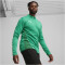 PUMA teamGOAL Trainingsjacke Herren 05 - sport green/puma white/power green L