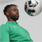 PUMA teamGOAL Trainingsjacke Herren 05 - sport green/puma white/power green L