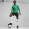 PUMA teamGOAL Trainingsjacke Herren 05 - sport green/puma white/power green L