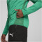 PUMA teamGOAL Trainingsjacke Herren 05 - sport green/puma white/power green L