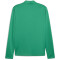 PUMA teamGOAL Trainingsjacke Herren 05 - sport green/puma white/power green L