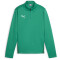 PUMA teamGOAL 1/4-Zip Trainings-Top Kinder 05 - sport green/puma white/power green 116