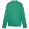 PUMA teamGOAL 1/4-Zip Trainings-Top Kinder 05 - sport green/puma white/power green 116