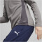 PUMA teamGOAL 1/4-Zip Trainings-Top Damen 13 - cast iron/puma white/shadow gray S