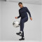 PUMA teamGOAL 1/4-Zip Trainings-Top Damen 06 - PUMA navy/PUMA white/persian blue S