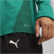 PUMA teamGOAL 1/4-Zip Trainings-Top Damen 05 - sport green/puma white/power green XS