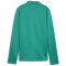 PUMA teamGOAL 1/4-Zip Trainings-Top Damen 05 - sport green/puma white/power green XS