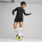 PUMA teamGOAL 1/4-Zip Trainings-Top Damen 03 - PUMA black/PUMA white/flat dark gray M