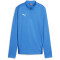 PUMA teamGOAL 1/4-Zip Trainings-Top Damen 02 - electric blue lemonade/puma white/puma team royal XS