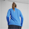 PUMA teamGOAL 1/4-Zip Trainings-Top Damen 02 - electric blue lemonade/puma white/puma team royal XS