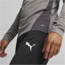 PUMA teamGOAL 1/4-Zip Trainings-Top Herren 13 - cast iron/puma white/shadow gray M