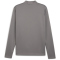 PUMA teamGOAL 1/4-Zip Trainings-Top Herren 13 - cast iron/puma white/shadow gray M