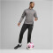 PUMA teamGOAL 1/4-Zip Trainings-Top Herren 13 - cast iron/puma white/shadow gray XL