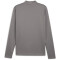 PUMA teamGOAL 1/4-Zip Trainings-Top Herren 13 - cast iron/puma white/shadow gray 3XL