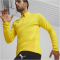 PUMA teamGOAL 1/4-Zip Trainings-Top Herren 07 - faster yellow/puma black/sport yellow S