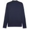 PUMA teamGOAL 1/4-Zip Trainings-Top Herren 06 - PUMA navy/PUMA white/persian blue L
