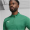 PUMA teamGOAL 1/4-Zip Trainings-Top Herren 05 - sport green/puma white/power green S