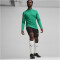 PUMA teamGOAL 1/4-Zip Trainings-Top Herren 05 - sport green/puma white/power green M