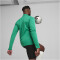 PUMA teamGOAL 1/4-Zip Trainings-Top Herren 05 - sport green/puma white/power green M