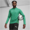 PUMA teamGOAL 1/4-Zip Trainings-Top Herren 05 - sport green/puma white/power green XL
