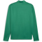 PUMA teamGOAL 1/4-Zip Trainings-Top Herren 05 - sport green/puma white/power green XL