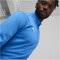 PUMA teamGOAL 1/4-Zip Trainings-Top Herren 02 - electric blue lemonade/puma white/puma team royal M