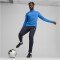 PUMA teamGOAL 1/4-Zip Trainings-Top Herren 02 - electric blue lemonade/puma white/puma team royal M