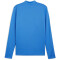 PUMA teamGOAL 1/4-Zip Trainings-Top Herren 02 - electric blue lemonade/puma white/puma team royal M