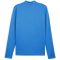 PUMA teamGOAL 1/4-Zip Trainings-Top Herren 02 - electric blue lemonade/puma white/puma team royal L
