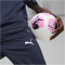 PUMA teamGOAL Sideline Pr&auml;sentationshose Herren 06 - PUMA navy/PUMA white S