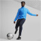 PUMA teamGOAL Sideline Präsentationsjacke Herren 02 - electric blue lemonade/puma white XXL