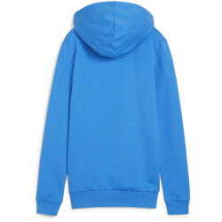 PUMA teamGOAL Casuals Hoodie Damen 02 - ignite blue/puma white XS