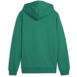 PUMA teamGOAL Casuals Hoodie Jungen 05 - sport green/puma...