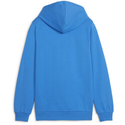PUMA teamGOAL Casuals Hoodie Jungen 02 - ignite blue/puma...