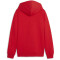 PUMA teamGOAL Casuals Hoodie Jungen 01 - PUMA red/PUMA white 116