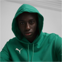 PUMA teamGOAL Casuals Hoodie Herren 05 - sport green/puma white XXL