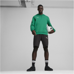 PUMA teamGOAL Casuals Hoodie Herren 05 - sport green/puma white XXL