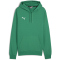 PUMA teamGOAL Casuals Hoodie Herren 05 - sport green/puma white XXL