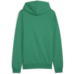 PUMA teamGOAL Casuals Hoodie Herren 05 - sport green/puma white 3XL