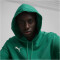 PUMA teamGOAL Casuals Hoodie Herren 05 - sport green/puma white 3XL