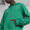PUMA teamGOAL Casuals Hoodie Herren 05 - sport green/puma white 3XL