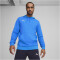 PUMA teamGOAL Casuals Hoodie Herren 02 - ignite blue/puma white 3XL