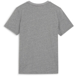 PUMA teamGOAL Casuals T-Shirt Jungen 33 - medium gray...