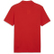 PUMA teamGOAL Casuals Poloshirt Herren 01 - PUMA red/PUMA white S