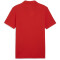PUMA teamGOAL Casuals Poloshirt Herren 01 - PUMA red/PUMA white L