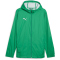 PUMA teamFINAL Allwetterjacke Herren 05 - sport green/puma silver M