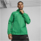 PUMA teamFINAL Allwetterjacke Herren 05 - sport green/puma silver M