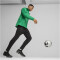 PUMA teamFINAL Allwetterjacke Herren 05 - sport green/puma silver XL